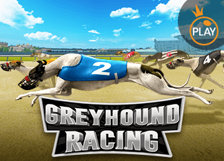 Sports Greyhound Racing